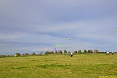 Venice kite festival_0630